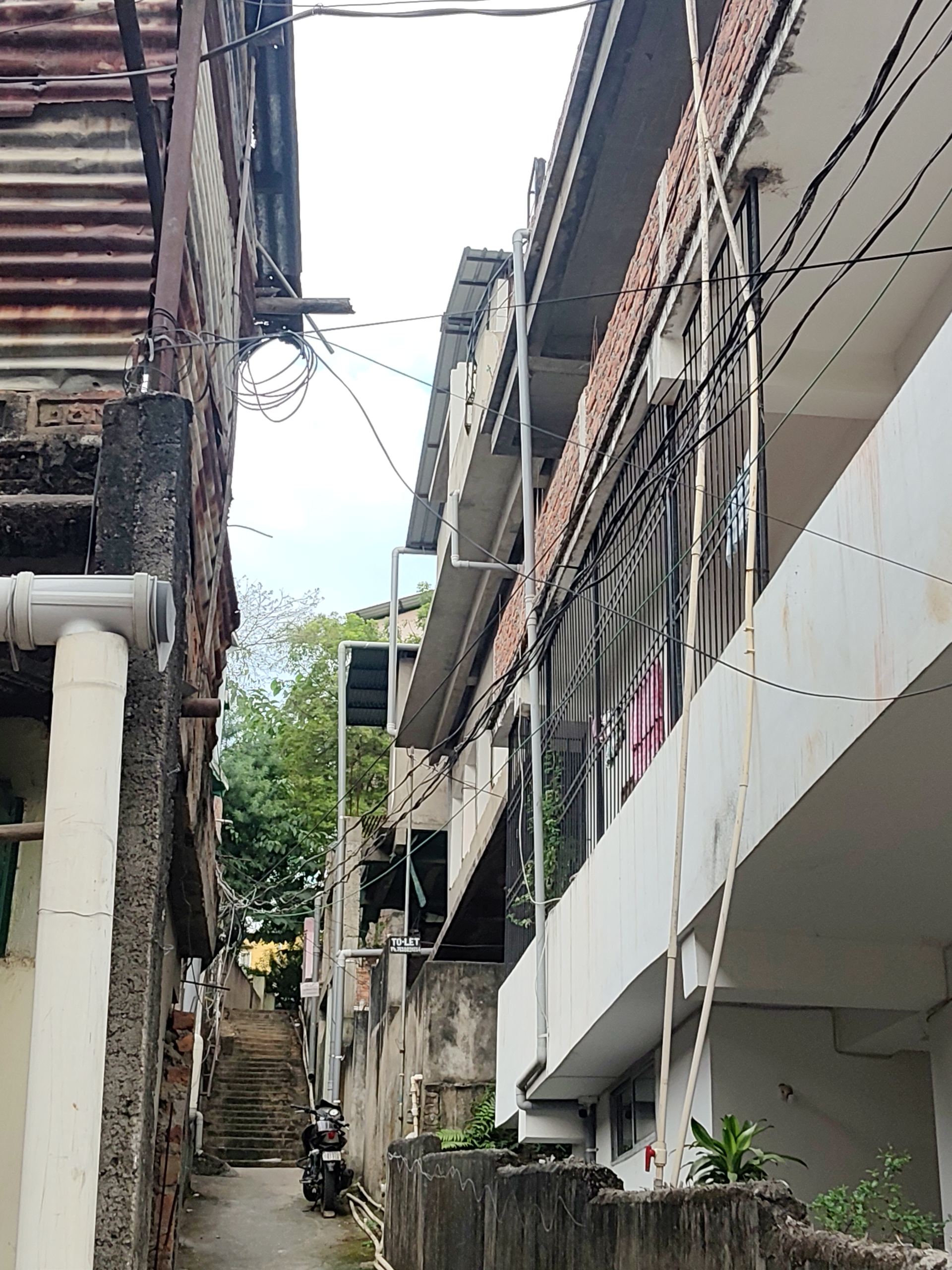 3 single room for rent